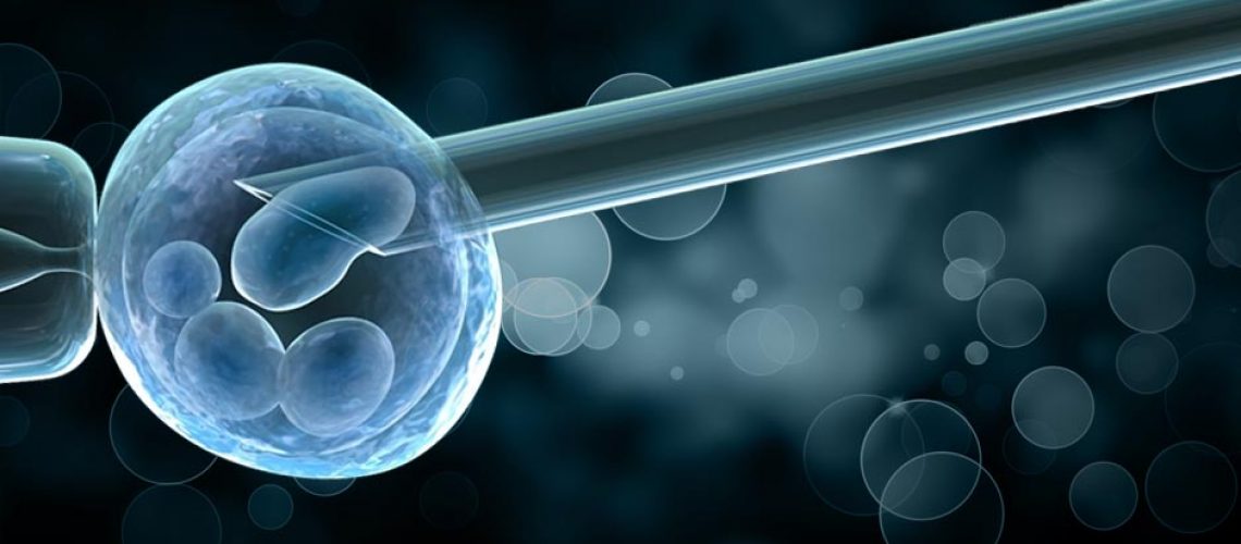 Preimplantation Genetic Diagnosis